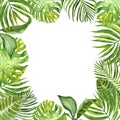 Watercolor green tropical leaves and plants border. Hand painted summer exotic greenery and foliage on white background Royalty Free Stock Photo