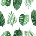 Watercolor green tropical palm and monstera leaves seamless pattern on white background Royalty Free Stock Photo