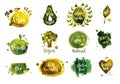 Watercolor green vegan badges and logos. Vegan food, eco, raw vegan, natural, bio, vegetarian food
