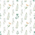 Watercolor greenery and eucalyptus branches seamless pattern. Royalty Free Stock Photo