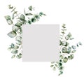 Watercolor greenery frame with eucalyptus branches. Hand painted holiday plants isolated on white background. Plants