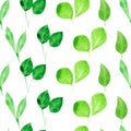 Watercolor greenery. Seamless pattern with Green leaves and branch on white Royalty Free Stock Photo