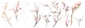 Watercolor greenery set of light pink, orange. blush leaves, twigs and branches. Spring romantic illustration. Royalty Free Stock Photo