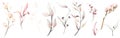 Watercolor greenery set of light pink, orange. blush leaves, twigs and branches. Spring romantic illustration. Royalty Free Stock Photo