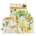 Watercolor greenhouse plants in pots. Home garden greenery tropical tree. Monstera, cactus, palm, banana palm, snake plant.