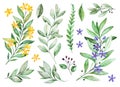 Watercolor greens collection.Texture with flowering branches, small flowers,leaves,fern leaves,foliage