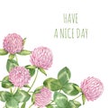 Watercolor greeting card with clover flowers and -Have a nice day- quote. Wildflowers background. Meadow floral banner