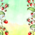 Watercolor greeting card, invitation with a plant strawberry. Blossoming bush with a red berry and flower.