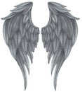 Watercolor grey Angel Wing illustration. Hand painted fantasy wing with grey feathers for prints, banners Royalty Free Stock Photo