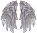 Watercolor grey Angel Wing illustration. Hand painted wing with grey feathers for prints, banners Royalty Free Stock Photo