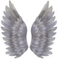 Watercolor grey Angel Wing illustration. Hand painted wing with grey feathers for prints, banners Royalty Free Stock Photo