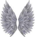 Watercolor grey Angel Wing illustration. Hand painted wing with grey feathers for prints, banners Royalty Free Stock Photo