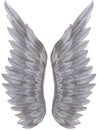 Watercolor grey Angel Wing illustration. Hand painted wing with grey feathers for prints, banners Royalty Free Stock Photo