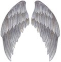 Watercolor grey Angel Wing illustration. Hand painted wing with grey feathers for prints, banners Royalty Free Stock Photo