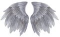 Watercolor grey Angel Wing illustration. Hand painted wing with grey feathers for prints, banners Royalty Free Stock Photo