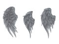 Watercolor grey Angel Wing illustration. Hand painted wing with grey feathers for prints, banners Royalty Free Stock Photo