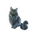 Watercolor grey cat