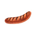 Watercolor grilled bratwurst pork sausage. Hand-drawn illustration isolated on white background close-up. Perfect for Royalty Free Stock Photo