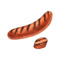 Watercolor grilled bratwurst pork sausage and sliced. Hand-drawn illustration isolated on white background close-up Royalty Free Stock Photo