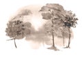 Watercolor group of trees - fir, pine, cedar, fir-tree. black and white forest, countryside landscape.Slope, hill, forest landscap