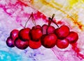 Watercolor grunge background in rainbow colors with cherries. Vintage poster, banner, scrapbook page. Handmade aged paper texture