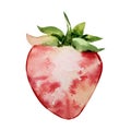 Watercolor half strawberry Royalty Free Stock Photo