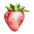 Watercolor half strawberry Royalty Free Stock Photo
