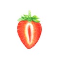 Watercolor half of strawberry Royalty Free Stock Photo