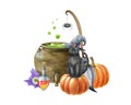 Watercolor halloween illustration. Black cat, kettle, pumpkin, broom and potion. Witchcraft object decoration. Halloween