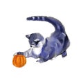 Watercolor Halloween illustration with cat and pumpkin Royalty Free Stock Photo