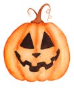 Watercolor Halloween illustration, orange pumpkin