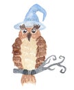 Watercolor Halloween owl on a branch with magic hat. Isolated on white background. Illustration for various products. Royalty Free Stock Photo