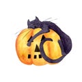 Watercolor Halloween Pumpkin. Watercolor Funny Pumpkin With Black Sleeping Cat. Autumn Festival. Orange Large Pumpkin.