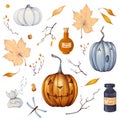 Watercolor Halloween set in cartoon style with illustration of pumpkin, poison in a flask, branch, autumn leaves