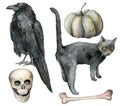 Watercolor halloween set with crow and cat. Hand painted holiday set with pumpkin, scull and bone isolated on white