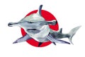 Watercolor hammerhead shark.