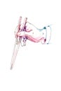 Watercolor hand with chopsticks.