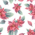 Watercolor hand draw red poinsettia flowers and leaves seamless pattern. Christmas or New Year decor Royalty Free Stock Photo