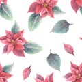 Watercolor hand draw red poinsettia flowers and leaves seamless pattern. Christmas or New Year decor Royalty Free Stock Photo