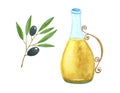 Watercolor hand drawing a bottle of olive oil, a branch with olives, a glass container with oil, yellow color of liquid