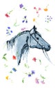 Watercolor hand drawing horse head with wild flowers on white.