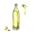 Watercolor hand drawing, oil in a bottle. Olive branch, rosemary and a drop of oil. Design for invitations, cards