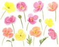 Watercolor hand drawn abstract colorful poppies flowers and leaves set