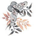 Watercolor hand drawn abstract illustrarion of moth and branch of leaves. Tatoo mystic ilustration