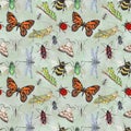 Watercolor hand drawn artistic colorful Insects  collection  seamless pattern Royalty Free Stock Photo