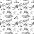 Watercolor hand drawn artistic colorful Insects  collection  seamless pattern Royalty Free Stock Photo