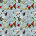 Watercolor hand drawn artistic colorful Insects  collection  seamless pattern Royalty Free Stock Photo