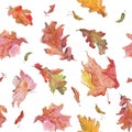 Watercolor hand drawn autumn oak and maple leaves and seeds seamless pattern in red color Royalty Free Stock Photo