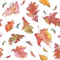 Watercolor hand drawn autumn oak and maple leaves and seeds seamless pattern Royalty Free Stock Photo