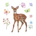 Watercolor hand drawn baby deer, butterfly, flowers, isolated. Cute little wild animal illustration